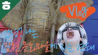 칩거튜브의 일탈 부산여행 브이로그 2화 [햄튜브]
