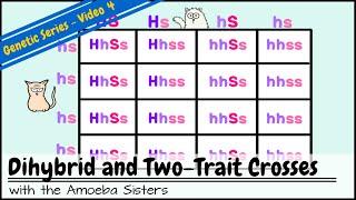 Dihybrid and Two-Trait Crosses