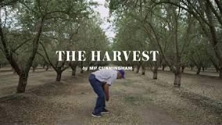 The Harvest