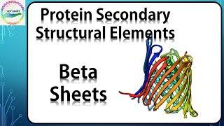 Beta Sheets in Proteins