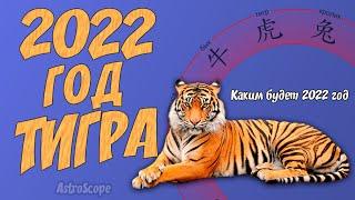 Год Тигра 2022: китайский гороскоп на 2022 год Тигра