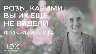 «МОХ»: розы, какими вы их еще не видели: ботанические приключения самого популярного цветка