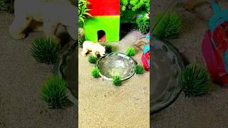 mini cow mini water pump #shorts #shortsfeed