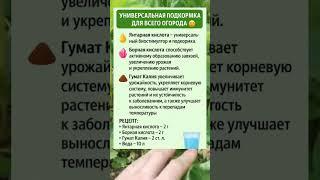  УНИВЕРСАЛЬНАЯ ПОДКОРМКА ДЛЯ ВСЕГО ОГОРОДА