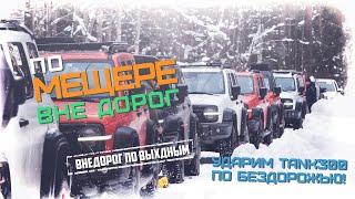 По Мещере вне дорог