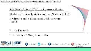 Tutorial III   Hydrodynamic Alignment with Pressure Part 1