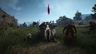 Путь к 295 AP ФИНАЛ | Black Desert.