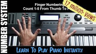 Learn To Play Piano Instantly: #1 Beginning Training (Pro Shortcuts)