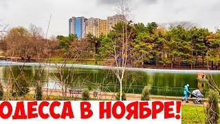 ОДЕССА 30 НОЯБРЯ 2021️ODESSA 30 NOVEMBER 2021️