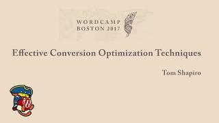 Effective Conversion Optimization Techniques