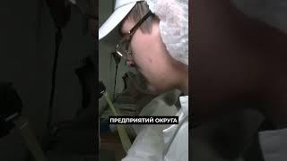 Ямальские студенты проходят практику по заготовке оленины #новости #янао