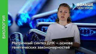 Матричный синтез ДНК — основа генетических закономерностей