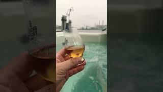 What’s in your glass?