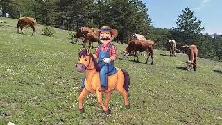 Teo checks his cows with his horse