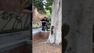 Fun parkour line #parkour