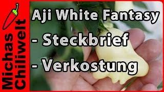 Aji White Fantasy  |  Glockenchili  |  Steckbrief und Verkostung  |  Chili  |