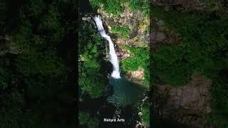 Beautiful nature forest waterfall | relaxing peaceful waterfall sound for sleeping#waterfall #nature