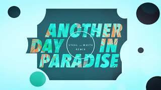 Another Day In Paradise ( Steel and White Cover Remix )