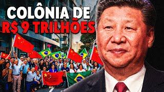 A Cidade e Agro Brasileiro COMPRADO pela CHINA (Toda A Verdade)... | Maratona Maestria