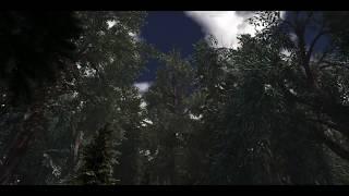 Skyrim Special Edition modding testing new and more trees