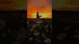 Tattoo - Loreen | lyrics | whatsapp status | aesthetic | slowed | edit 