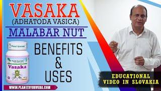 Vasaka (Adhatoda Vasica) / Malabar Nut - Benefits & Uses | Educational Video