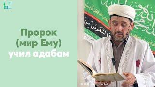 Пророк (мир Ему) учил адабам