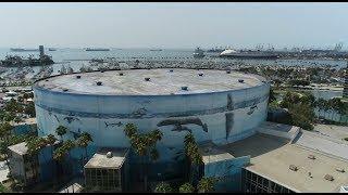 Wyland’s Whale Murals Are Larger Than Life