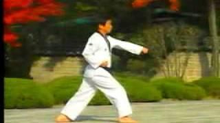 3. Taekwondo Poomsae Taegeuk Sam Jang (WTF)