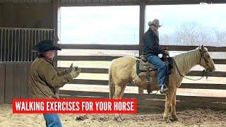 D/C  HORSE TRAINING AT THE WALK  | Use the Walk don't Lose the Walk