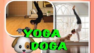 ЙОГА ЧЕЛЛЕНДЖ / The Doga Challenge / Йога Challenge с щенком | LerkaG