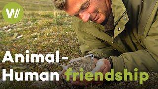 Incredible friendship between a little bird and a human - Bird trusts human with his life!