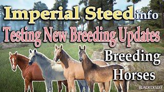 Imperial Steed. Testing New Horse Updates. Breeding Horses. BDO