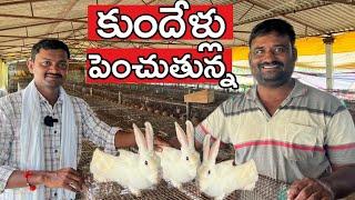 7 రకాల కుందేళ్లు 3 ఏండ్లుగా పెంచుతున్న | Rabbit Farming | రైతు బడి