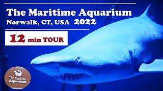 The Maritime Aquarium at Norwalk 2022, Connecticut, USA (12min Tour) / アメリカ コネチカット 水族館