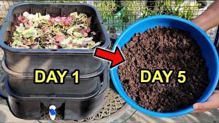 10种最强自制有机肥料 Top 10 Organic Compost At Home for Garden