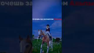 #старстайблонлайн #starstable #horse #game #horse #лошади