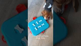 Engage and Delight: Interactive Treat Puzzle Dog Toy for Canine Fun!