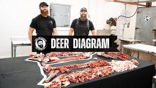 A Visual Guide to the Cuts of Deer: Learn Where Every Cut Comes From | By The Bearded Butchers