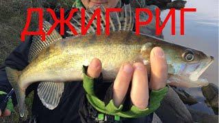 СУДАК НА ДЖИГ РИГ / Jig Rig ЗАКРЫТИЕ ОСЕННЕГО СЕЗОНА