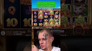 Витус не ожидал ОГРОМНЫЙ ВЫИГРЫШ в Клеокатра #zubarefff #egorkreed