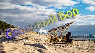 Сосновый Бор | Обзор города | Блог