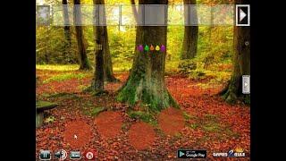 G2R Pleasant Autumn Forest Escape Walkthrough [Games2Rule]