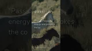 Joy Provoking Passion | Seed Gallery #passion #art #artist #joy #knowlege #inspiration #life #shorts