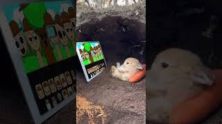 Bunny Watching Sprunki incredibox #sprunki #incredibox #funny #animation