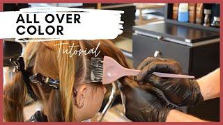 All Over Hair Color – Single Process Color Application With a Bowl and Brush