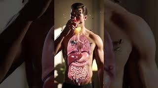 3D Human Digestive Journey  Parasites & Microbes Inside Organs