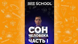 РАЗБИРАЕМ ФАЗЫ СНА #математика #егэ #огэ #shorts #профильныйегэ