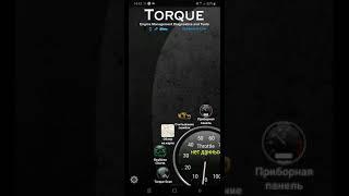 Torque PIDs K-Line & CAN