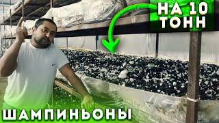 Рафаил и Его Камера на 10 Тонн. Шампиньоны В Таганроге